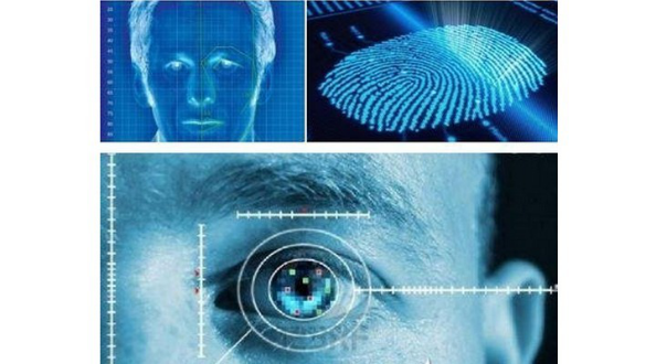 Biometric perspective of Maxvision Biometric perspective of Maxvision